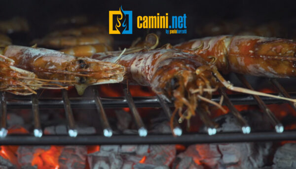 Inserto a legna Aranda con forno professionale - immagine 5